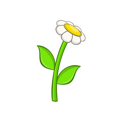 Chamomile icon in cartoon style on a white background