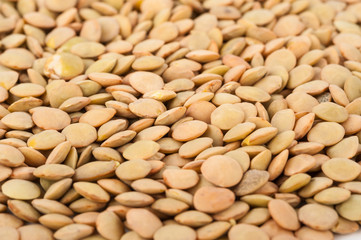Lentils