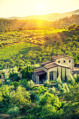 Chianti vineyard - 115924168