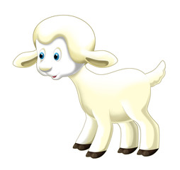 Cartoon funny sheep standing and watching - isolated - illustration for children