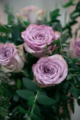 Purple roses