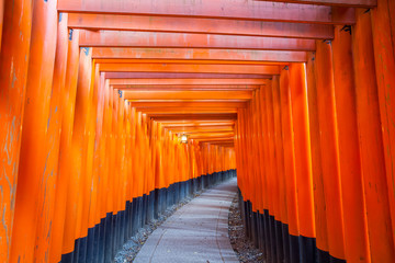 Thousands of vermilion torii gates at Kyoto Fushimi Inari Shrine