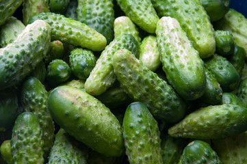 The image of fresh cucumber on a wooden table