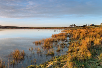 Early Morning at Dozmary Pool