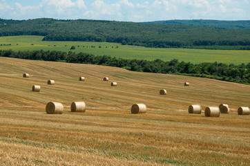 Fototapeta premium Levels with bales.