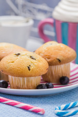 Sweet delicious muffins cranberries fruits