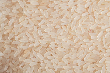 Rice grains background.