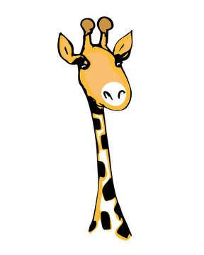 Cute giraffe with long eyelashes