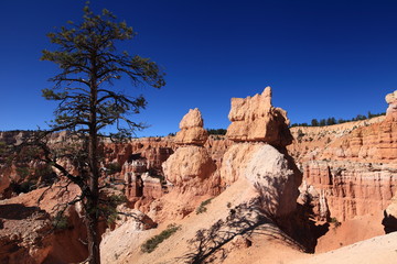 Queens Garden, Bryce Canyon NP 