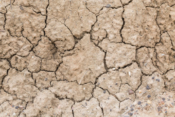 soil background