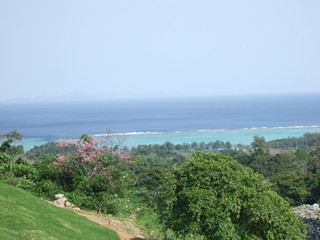 Obraz premium 沖縄の海 風景 水平線 緋寒桜 ヒカンサクラ 今帰仁城