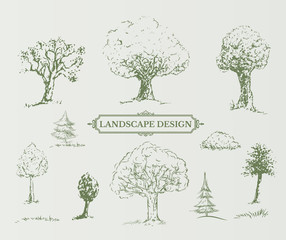 Vtctor Collection of trees in sketch