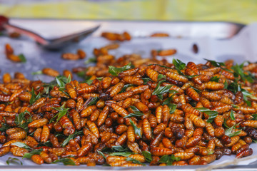 fried insects