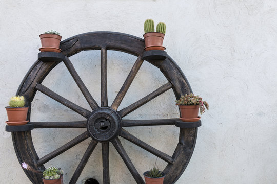 Wheel. Plants arranged on the circumference of an old wooden wheel. A shot that well describes the culture of the humble things of the southern Italy.
