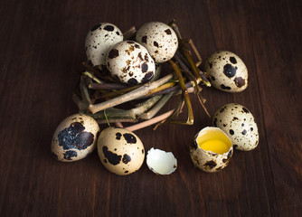 Obraz premium Quail eggs on a dark wooden table.