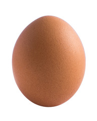 Chicken egg close up isolated on white background.