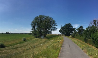 Elberadweg auf einem Deich
