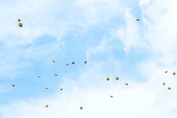 Flying balloons in the sky at the prom