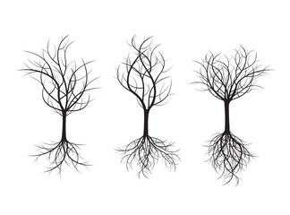 Set of Black Trees and Roots. Vector Illustration.