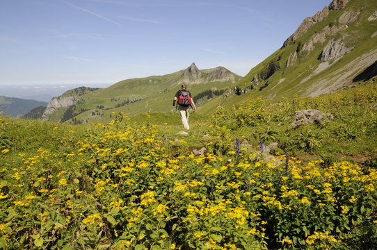 Wanderer an der Druesbergh&uuml;tte