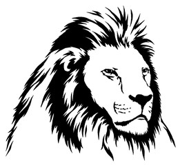 black and white linear paint draw lion illustration