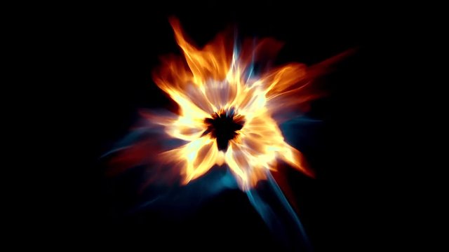 Abstract flower like animation. Blue and orange evolving flower animation. Perfect loop.
