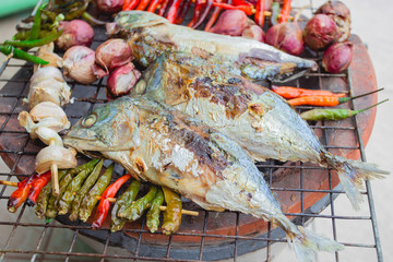 grilled fish