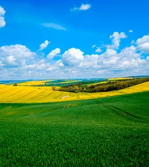 Deurstickers Groen Het golvende landschap van de weidenlente in Zuid-Moravië, Tsjechische Republiek