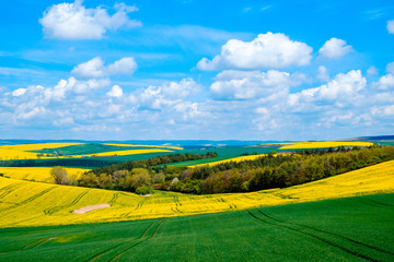 Wavy meadows spring landscape in South Moravia, Czech Republic