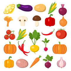 Set of vegetables. Different colorful vegetables. All kinds of green veggi for cooking meals, planting in garden.