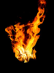 Fire flames on a black background