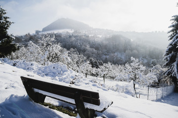 Fototapeta premium sunny Winter day