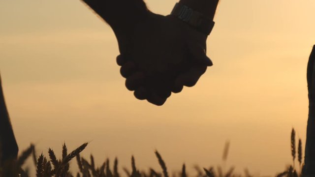 Closeup of gay couple holding hands of each other in wheat field at sunset. The Sun in the Background 
