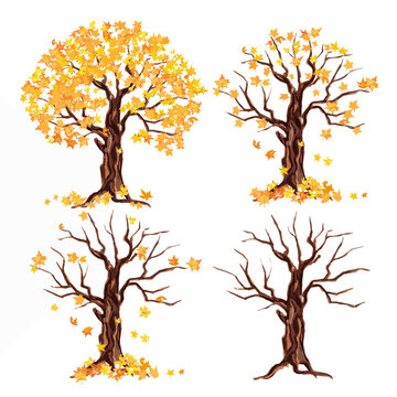 weatercolor autumn tree set on white background. Yellow and orange leaves falling.