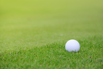 Golf ball on course