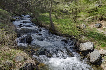 Beautiful motion blurred water stream landscape in the green forest, Vitosha mountain, Bulgaria