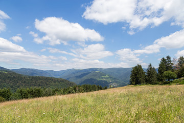 Montagne des Vosges