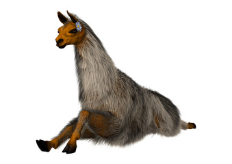 3D Rendering Llama or Lama on White