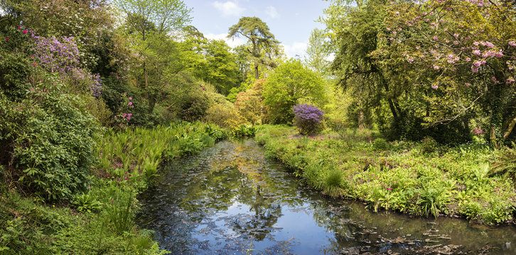 Landscape image of beautiful landscaped Gardens in Dorset Englan
