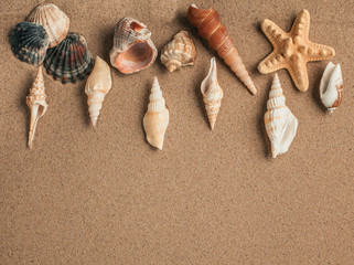 Starfish and shells with sand as background. Sand texture