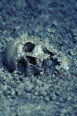Real human skull as crime scene, color manipulated, narrow focus