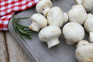 champignons de paris 16072016