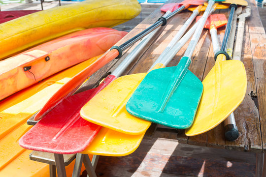 set of colorful oar and paddles of kayak and canoe sport