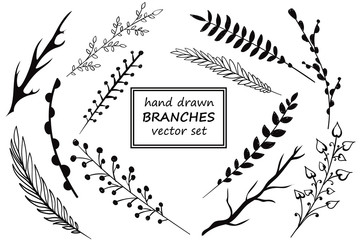 Fototapeta premium Set of hand drawn branches. Ink illustration.