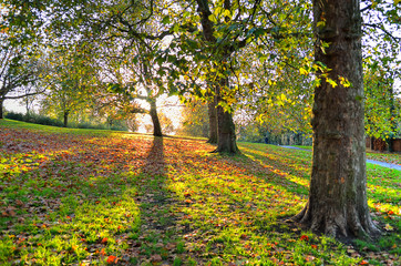 Breath-taking panoramic scenic view of London cityscape seen from beautiful Primrose Hill in St. Regents park..