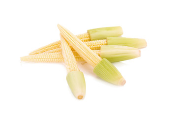 baby corn isolated on white background