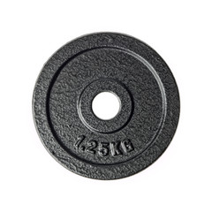 1.25kg barbell weight
