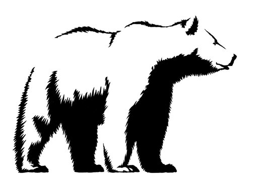 black and white ink draw bear illustration