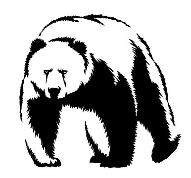 black and white ink draw bear illustration