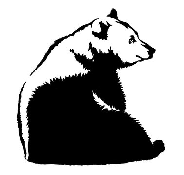 Black And White Ink Draw Bear Illustration